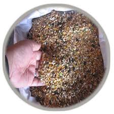 Agro Animal Feed Ingredients Services in Samalkha Haryana India